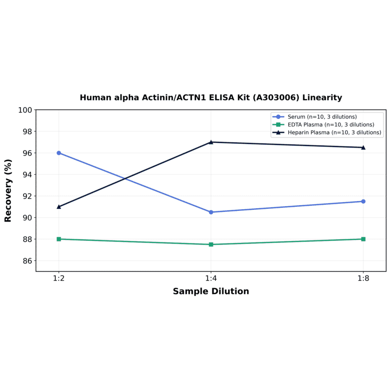 Linearity - Human alpha Actinin/ACTN1 ELISA Kit (A303006) - Antibodies.com