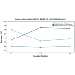 Linearity - Human alpha Actinin/ACTN1 ELISA Kit (A303006) - Antibodies.com