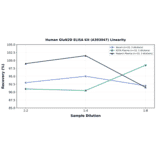 Linearity - Human GluN2D ELISA Kit (A303047) - Antibodies.com