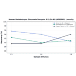 Linearity - Human Metabotropic Glutamate Receptor 5 ELISA Kit (A303069) - Antibodies.com