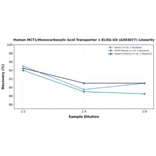 Linearity - Human MCT1/Monocarboxylic Acid Transporter 1 ELISA Kit (A303077) - Antibodies.com