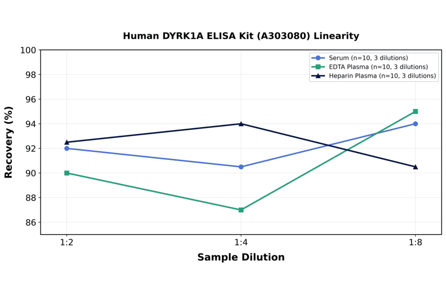 Linearity - Human DYRK1A ELISA Kit (A303080) - Antibodies.com