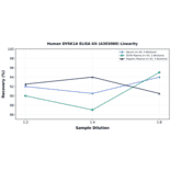 Linearity - Human DYRK1A ELISA Kit (A303080) - Antibodies.com