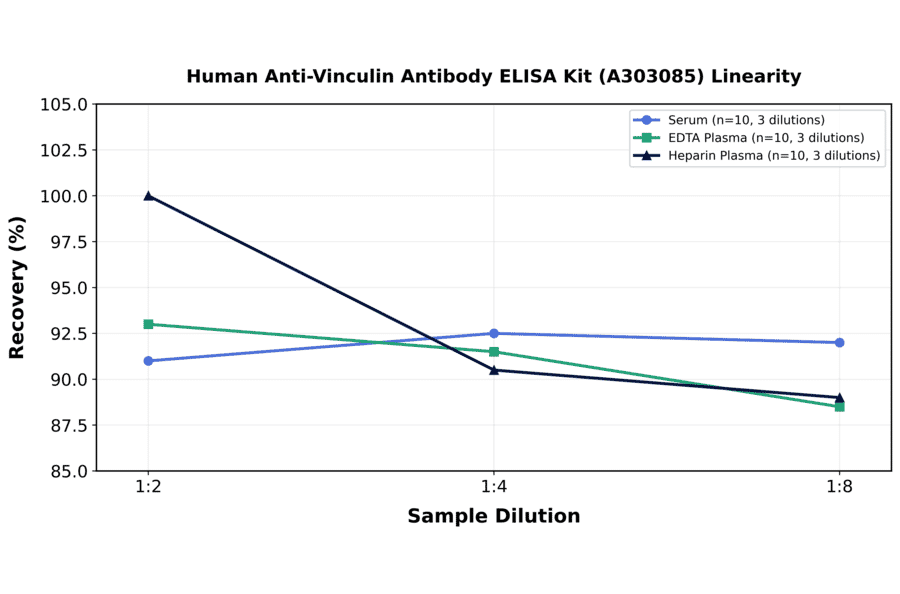 Linearity - Human Anti-Vinculin Antibody ELISA Kit (A303085) - Antibodies.com
