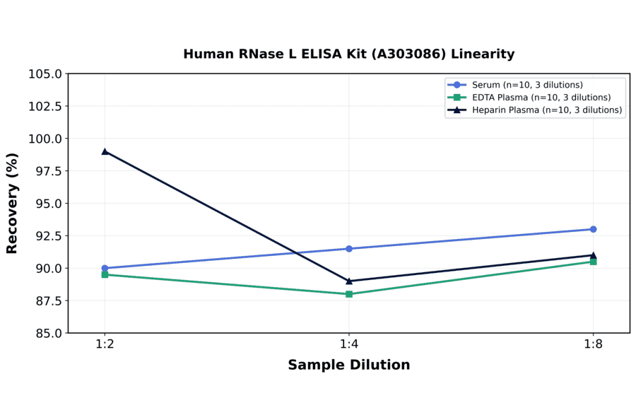 Linearity - Human RNase L ELISA Kit (A303086) - Antibodies.com