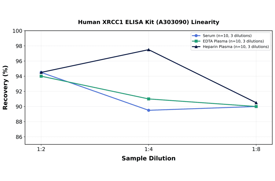 Linearity - Human XRCC1 ELISA Kit (A303090) - Antibodies.com