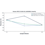 Linearity - Human XRCC1 ELISA Kit (A303090) - Antibodies.com