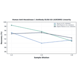 Linearity - Human Anti-Hexokinase 1 Antibody ELISA Kit (A303095) - Antibodies.com