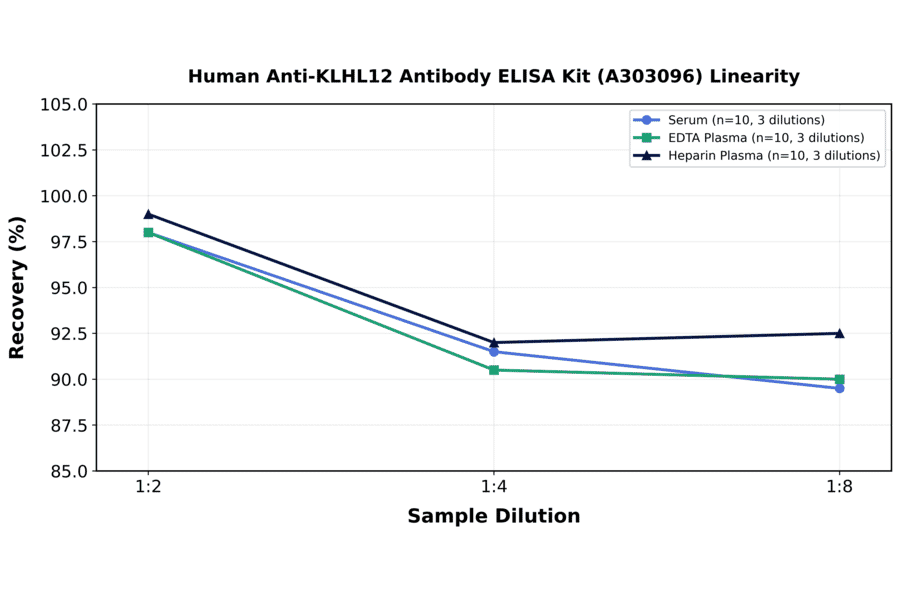 Linearity - Human Anti-KLHL12 Antibody ELISA Kit (A303096) - Antibodies.com