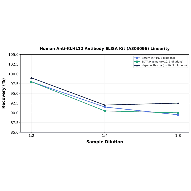 Linearity - Human Anti-KLHL12 Antibody ELISA Kit (A303096) - Antibodies.com