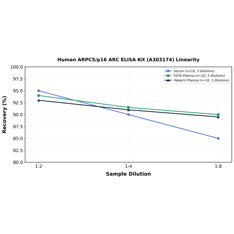Linearity - Human ARPC5/p16 ARC ELISA Kit (A303174) - Antibodies.com