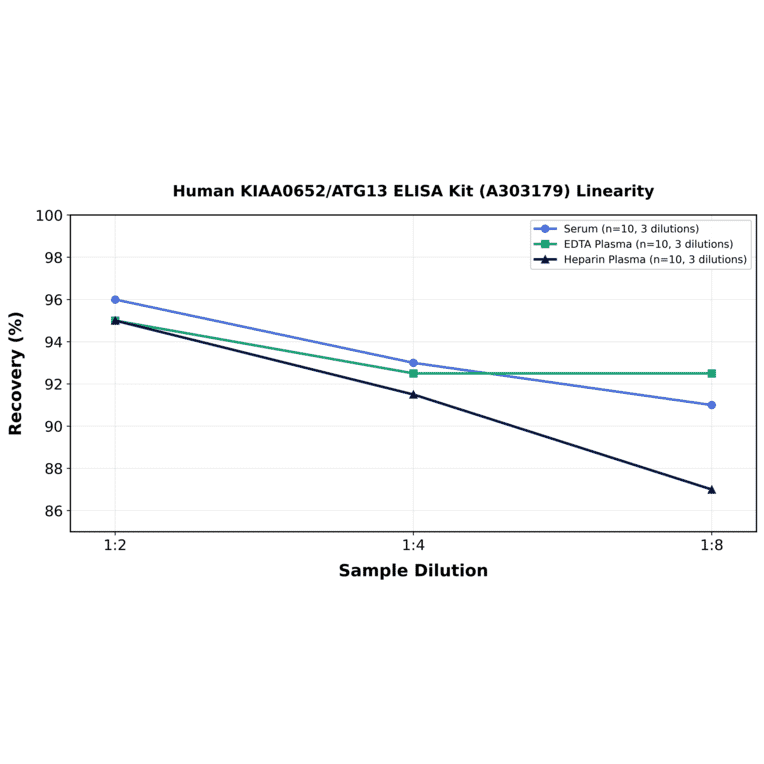 Linearity - Human KIAA0652/ATG13 ELISA Kit (A303179) - Antibodies.com
