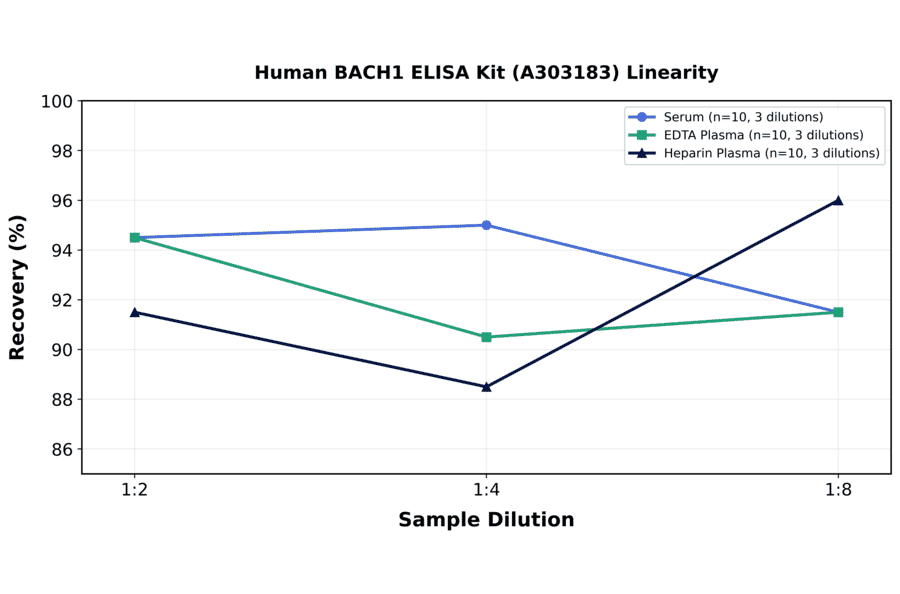 Linearity - Human BACH1 ELISA Kit (A303183) - Antibodies.com