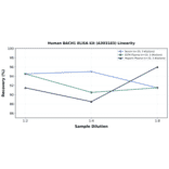 Linearity - Human BACH1 ELISA Kit (A303183) - Antibodies.com