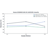 Linearity - Human BCKDHB ELISA Kit (A303185) - Antibodies.com