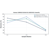 Linearity - Human CAMK1D ELISA Kit (A303193) - Antibodies.com