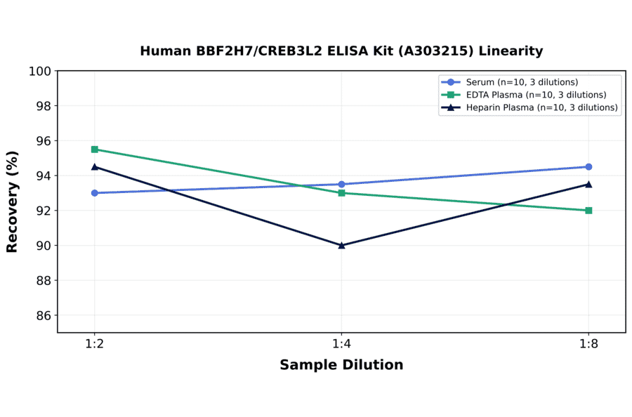 Linearity - Human BBF2H7/CREB3L2 ELISA Kit (A303215) - Antibodies.com