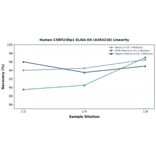 Linearity - Human CSRP2/Dlp1 ELISA Kit (A303218) - Antibodies.com