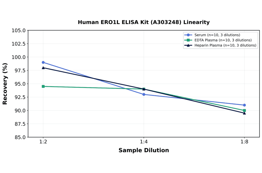 Linearity - Human ERO1L ELISA Kit (A303248) - Antibodies.com