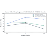 Linearity - Human GABA A Receptor gamma 2/GABRG2 ELISA Kit (A303271) - Antibodies.com