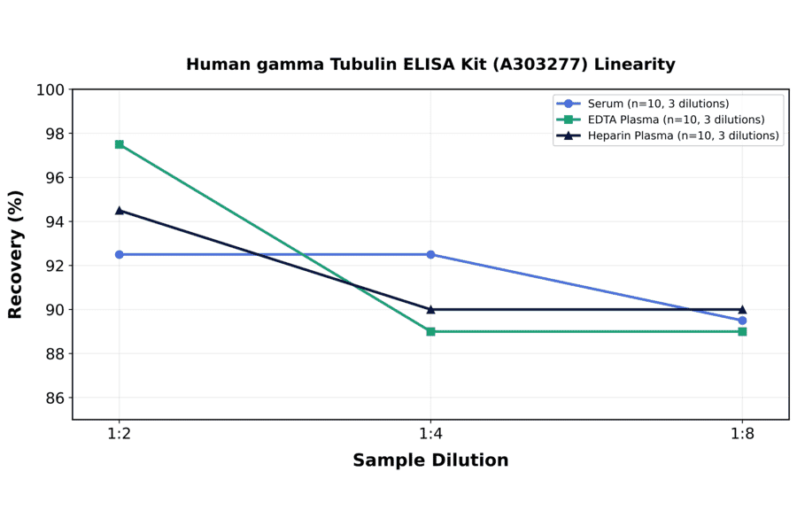 Linearity - Human gamma Tubulin ELISA Kit (A303277) - Antibodies.com