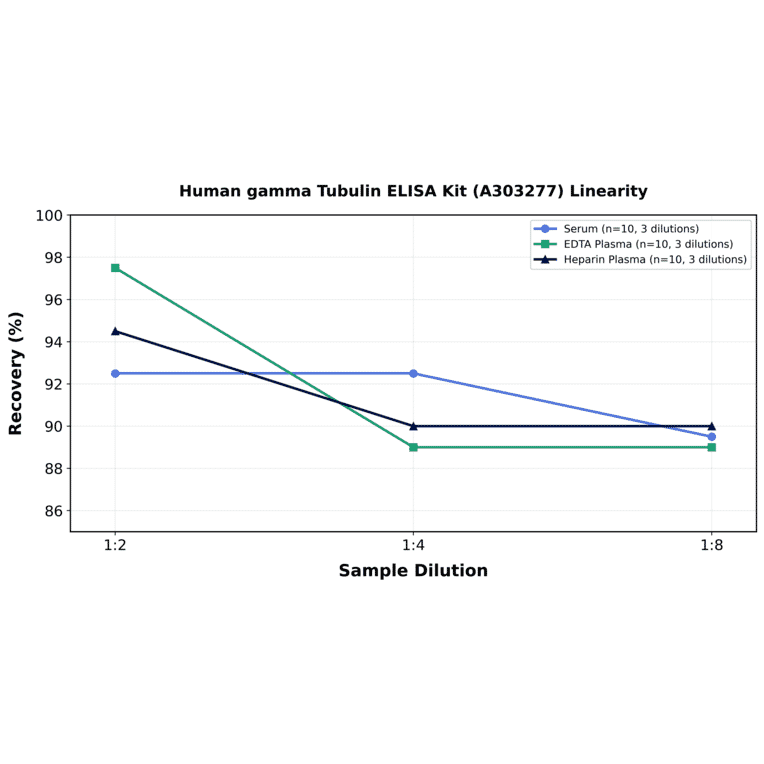 Linearity - Human gamma Tubulin ELISA Kit (A303277) - Antibodies.com