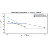 Linearity - Human gamma Tubulin ELISA Kit (A303277) - Antibodies.com