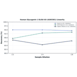 Linearity - Human Glycogenin 1 ELISA Kit (A303301) - Antibodies.com