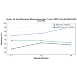 Linearity - Human U3 Small Nucleolar Ribonucleoprotein Protein IMP3 ELISA Kit (A303328) - Antibodies.com