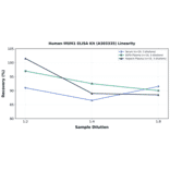 Linearity - Human MUM1 ELISA Kit (A303335) - Antibodies.com
