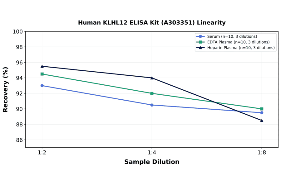 Linearity - Human KLHL12 ELISA Kit (A303351) - Antibodies.com