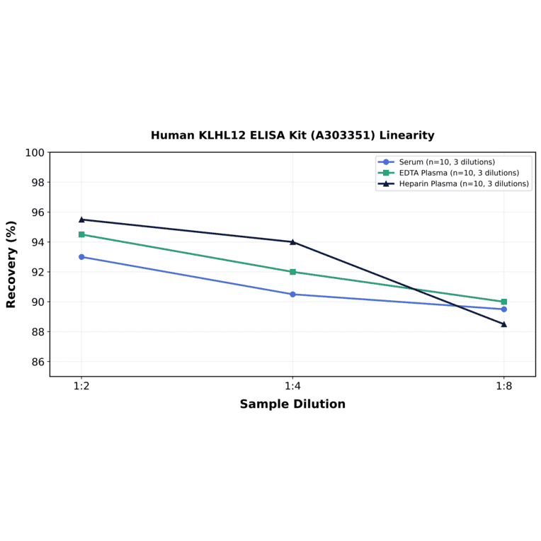 Linearity - Human KLHL12 ELISA Kit (A303351) - Antibodies.com