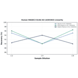 Linearity - Human MAGEC2 ELISA Kit (A303363) - Antibodies.com