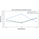 Linearity - Mouse LAMP2 ELISA Kit (A303419) - Antibodies.com
