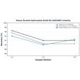 Linearity - Mouse Tyrosine Hydroxylase ELISA Kit (A303485) - Antibodies.com