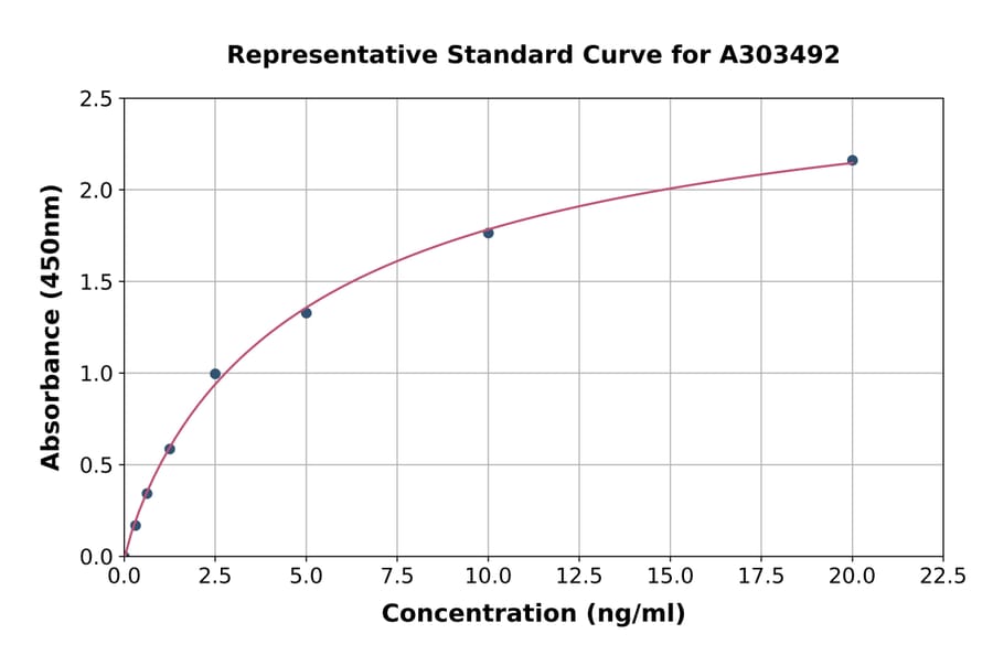 Standard Curve - Mouse Anti-beta Amyloid 42 Antibody ELISA Kit (A303492) - Antibodies.com