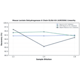 Linearity - Mouse Lactate Dehydrogenase A Chain ELISA Kit (A303506) - Antibodies.com