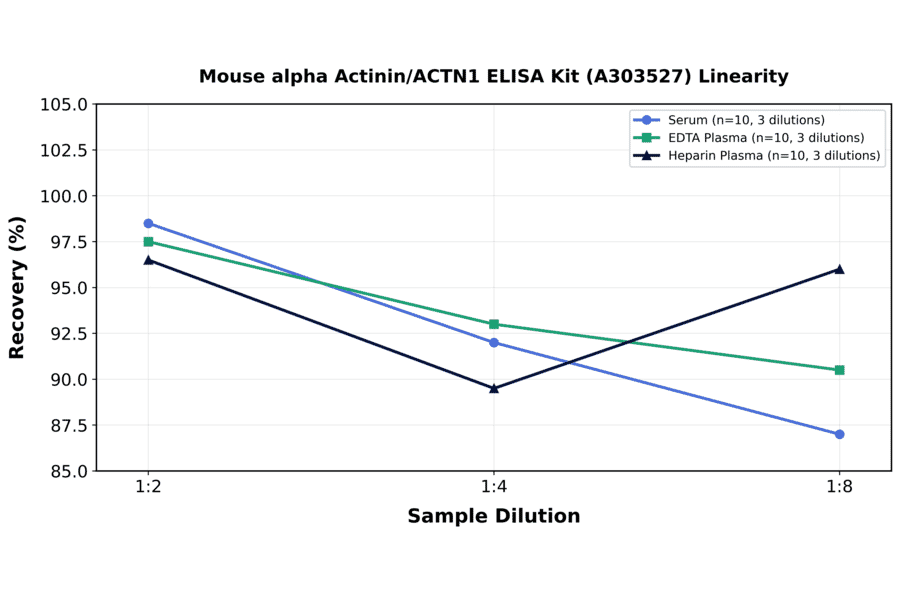 Linearity - Mouse alpha Actinin/ACTN1 ELISA Kit (A303527) - Antibodies.com