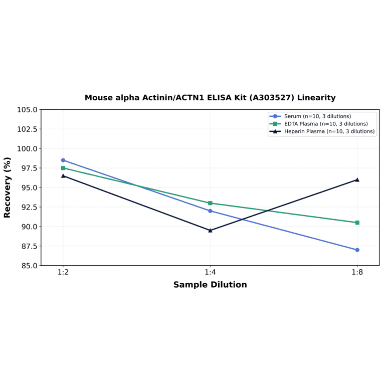 Linearity - Mouse alpha Actinin/ACTN1 ELISA Kit (A303527) - Antibodies.com