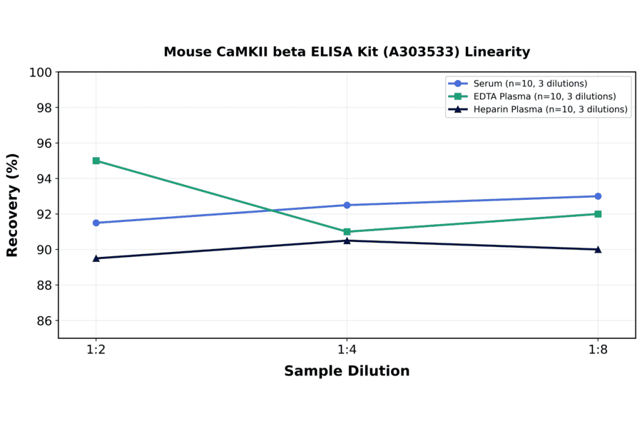 Linearity - Mouse CaMKII beta ELISA Kit (A303533) - Antibodies.com