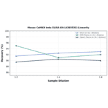 Linearity - Mouse CaMKII beta ELISA Kit (A303533) - Antibodies.com