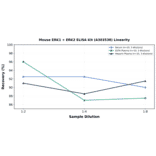 Linearity - Mouse ERK1 + ERK2 ELISA Kit (A303538) - Antibodies.com