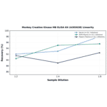 Linearity - Monkey Creatine Kinase MB ELISA Kit (A303638) - Antibodies.com