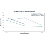 Linearity - Rat WISP2 ELISA Kit (A303708) - Antibodies.com