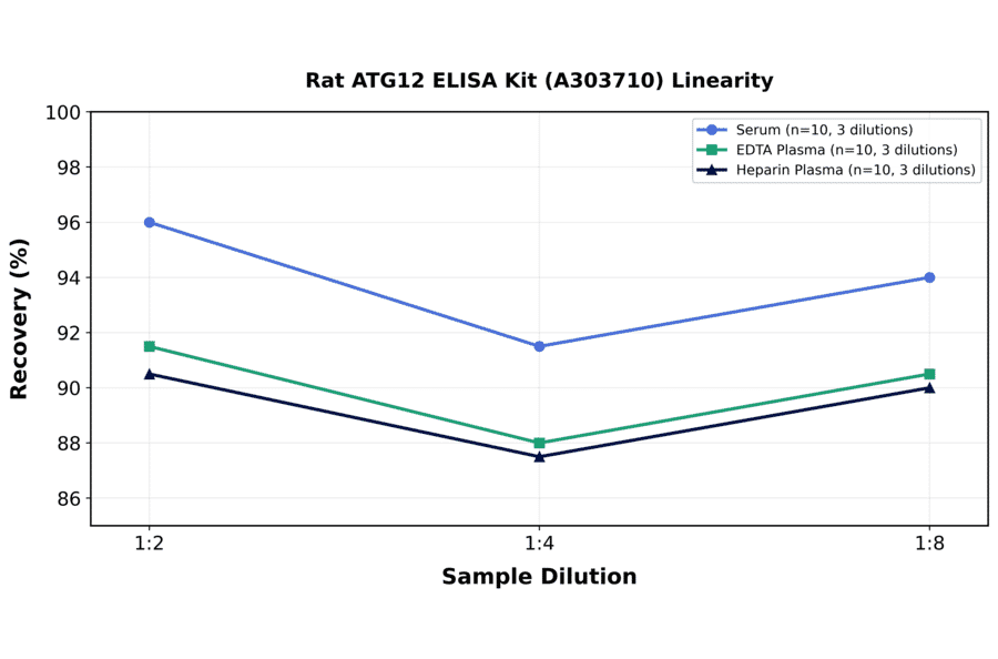 Linearity - Rat ATG12 ELISA Kit (A303710) - Antibodies.com