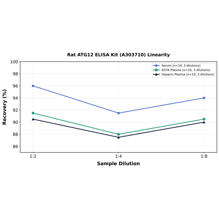 Linearity - Rat ATG12 ELISA Kit (A303710) - Antibodies.com