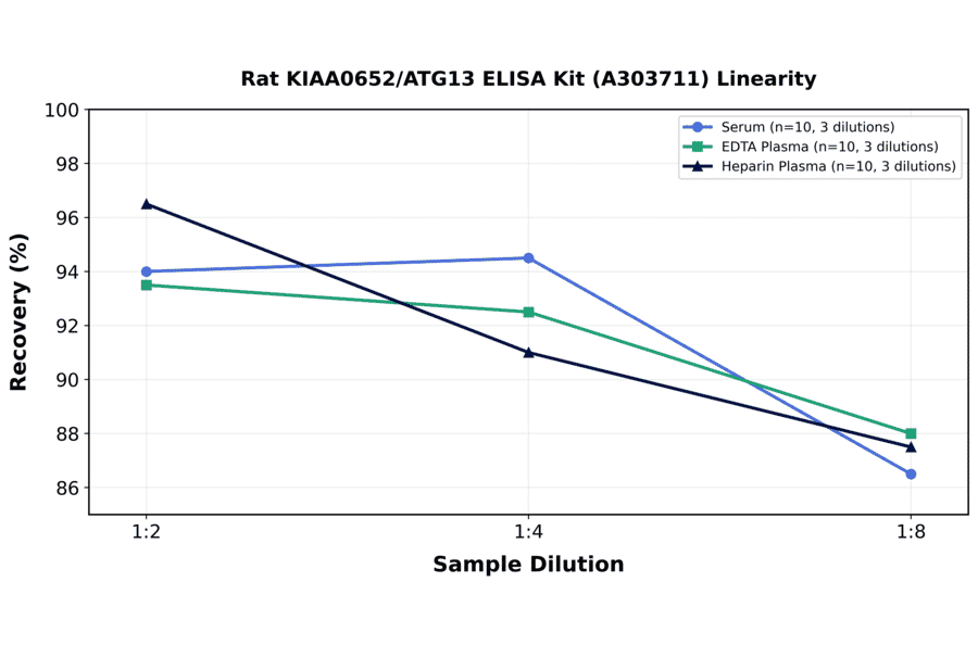 Linearity - Rat KIAA0652/ATG13 ELISA Kit (A303711) - Antibodies.com