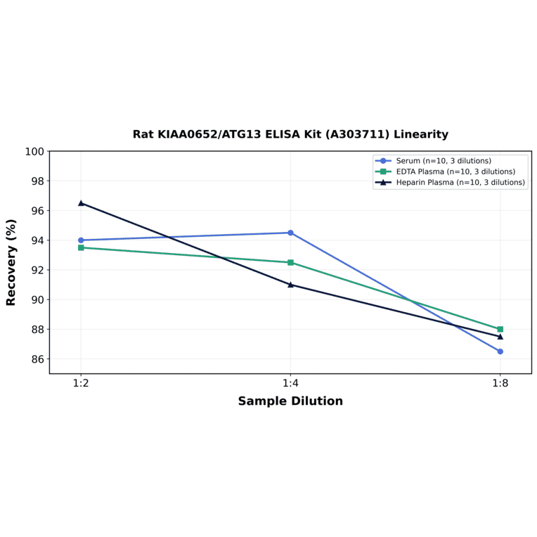 Linearity - Rat KIAA0652/ATG13 ELISA Kit (A303711) - Antibodies.com
