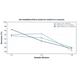 Linearity - Rat KIAA0652/ATG13 ELISA Kit (A303711) - Antibodies.com