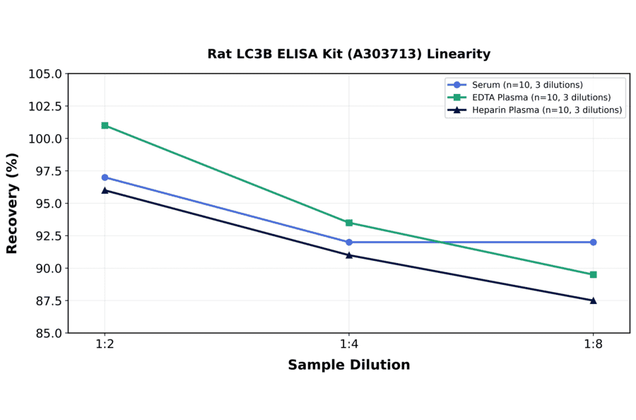 Linearity - Rat LC3B ELISA Kit (A303713) - Antibodies.com